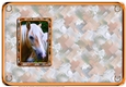 JJ LOVE MY HORSE A5 QUICK CARD 4 INSERT BLANK