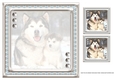 JJ LOVE MY ALASKAN MALAMUTES 8X8 INSERT BLANK