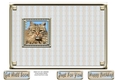 JJ LOVE MY CAT 10 5X7 INSERT.