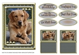 JJ LOVE MY DOG LABRADOR RETRIEVER 5X7 YELLOW