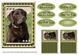 JJ LOVE MY DOG LABRADOR RETRIEVER 5X7 CHOCOLATE