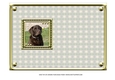 JJ LOVE MY DOG LABRADOR RETRIEVER 5X7 CHOCOLATE INSERT BLANK