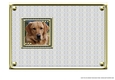 JJ LOVE MY DOG LABRADOR RETRIEVER 5X7 YELLOW INSERT BLANK
