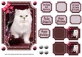 JJ PETS LOVE CHRISTMAS TOO SNOW WHITE CAT ROSEWOD 5X7
