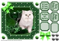 JJ PETS LOVE CHRISTMAS TOO SNOW WHITE CAT GREEN 8x8