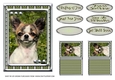  JJ LOVE MY DOG CHIHUAHUA 2 5X7