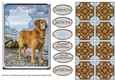 JJ LOVE MY DOG GOLDEN RETRIEVER 5x7 TEA BAG CARD
