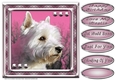 JJ LOVE MY DOG WEST HIGHLAND TERRIER OR WESTIE 2 8X8