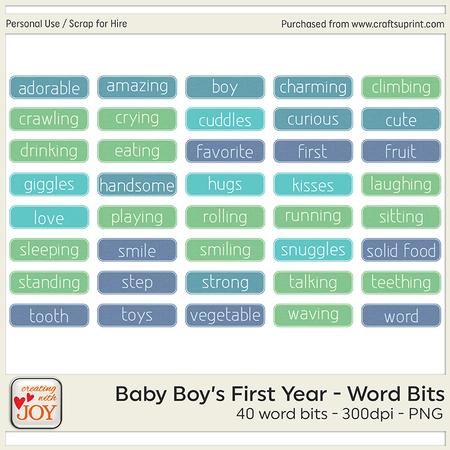 Baby Boy's First Year - Word Bits