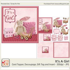 Its a Girl Baby Shower Card