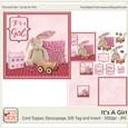 Its a Girl Baby Shower Card