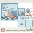 Its a Boy Baby Shower Card
