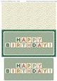 Retro Dl Green Birthday Card