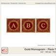 3x3 Gold Foil Effect Monogram Pack 1