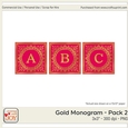 3x3 Gold Foil Effect Monogram Pack 2