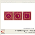 3x3 Gold Foil Effect Monogram Pack 3