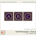 3x3 Gold Foil Effect Monogram Pack 5