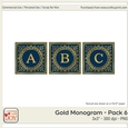 3x3 Gold Foil Effect Monogram Pack 6