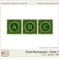 3x3 Gold Foil Effect Monogram Pack 7
