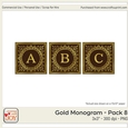 3x3 Gold Foil Effect Monogram Pack 8