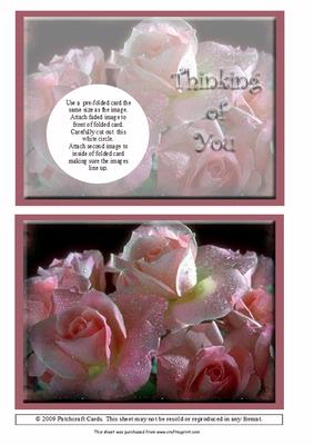 Peek-a-boo Roses in the Rain
