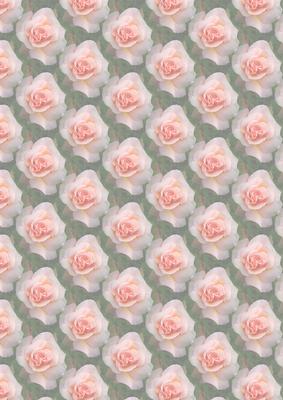 Hearts and Roses - Vellum