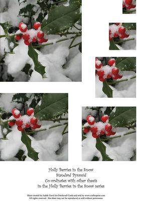 Holly Berries in the Snow - Standard Pyramid