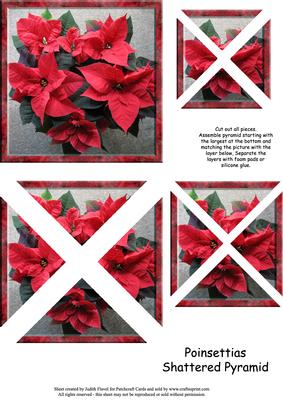 Poinsettias - Shattered Pyramid