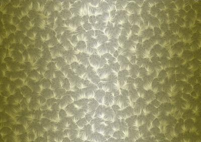 Shaded Backgrounds - Frosty Fingers - Olive