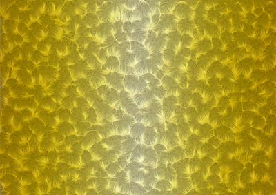 Shaded Backgrounds - Frosty Fingers - Mustard