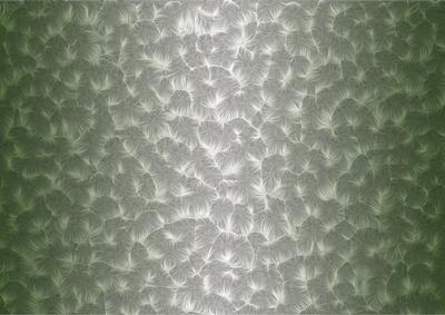 Shaded Backgrounds - Frosty Fingers - Fern