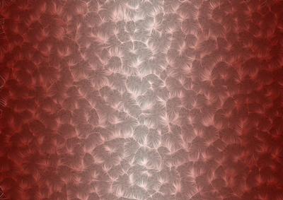 Shaded Backgrounds - Frosty Fingers - Chestnut