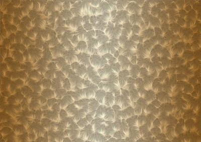 Shaded Backgrounds - Frosty Fingers - Cafe Latte
