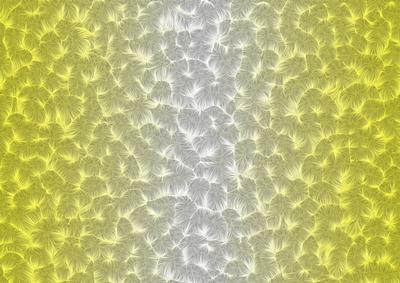 Shaded Backgrounds - Frosty Fingers - Sunshine Yellow