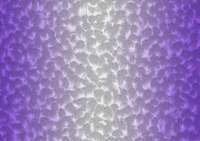 Shaded Backgrounds - Frosty Fingers - Purple Haze