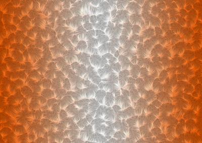 Shaded Backgrounds - Frosty Fingers - Florida Orange