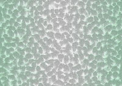 Shaded Backgrounds - Frosty Fingers - Peppermint