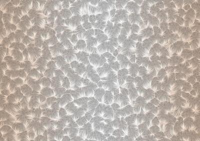 Shaded Backgrounds - Frosty Fingers - Peaches and Cream