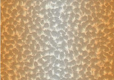 Shaded Backgrounds - Frosty Fingers - Mango Sorbet