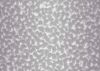 Shaded Backgrounds - Frosty Fingers - Dove Grey