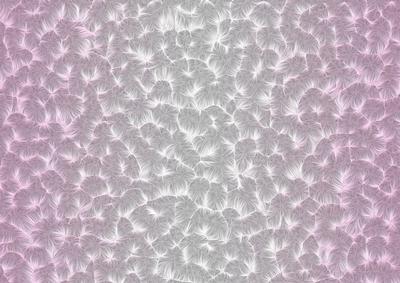 Shaded Backgrounds - Frosty Fingers - Baby Pink