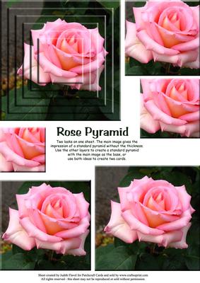 Pink Rose Pyramid Duo