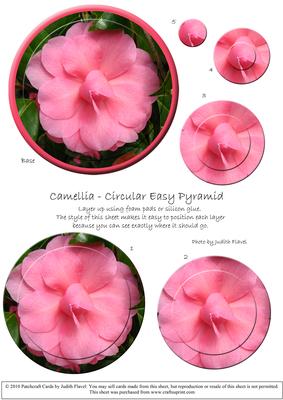 Circular Easy-position Pyramid - Camellia