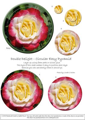 Circular Easy-position Pyramid - Rosa Double Delight