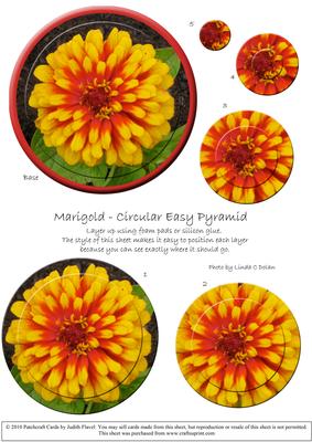Circular Easy-position Pyramid - Marigold
