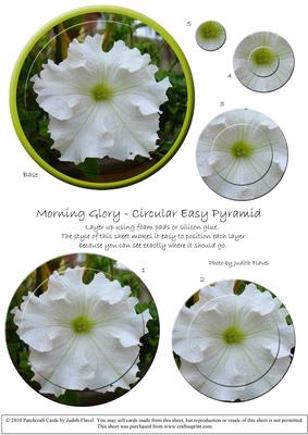 Circular Easy-position Pyramid - Morning Glory