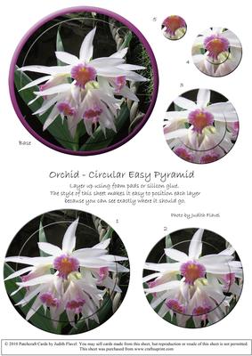 Circular Easy-position Pyramid - Orchid
