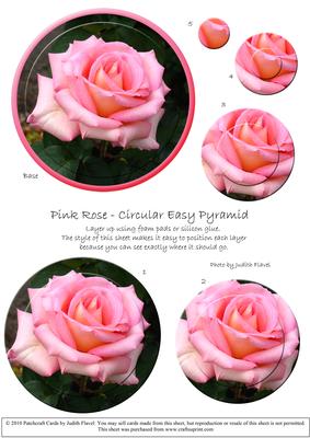 Circular Easy-position Pyramid - Pink Rose