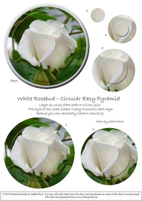 Circular Easy-position Pyramid - White Rosebud