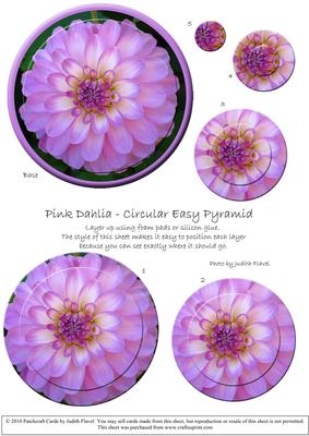 Circular Easy-position Pyramid - Pink Dahlia